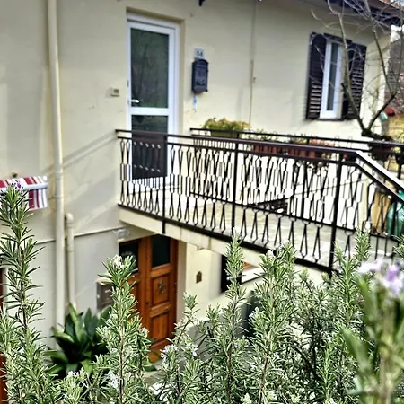 Riccio * Polcanto