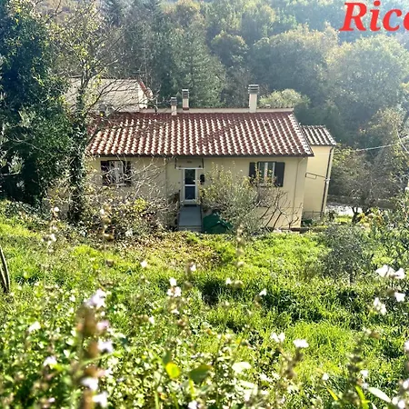 Riccio