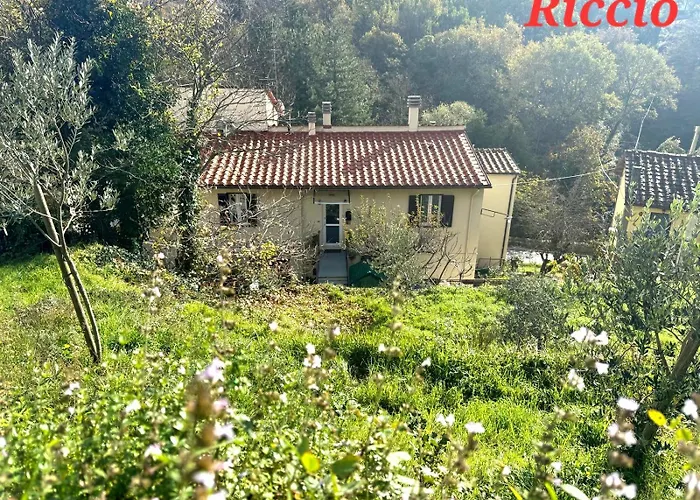 Riccio
